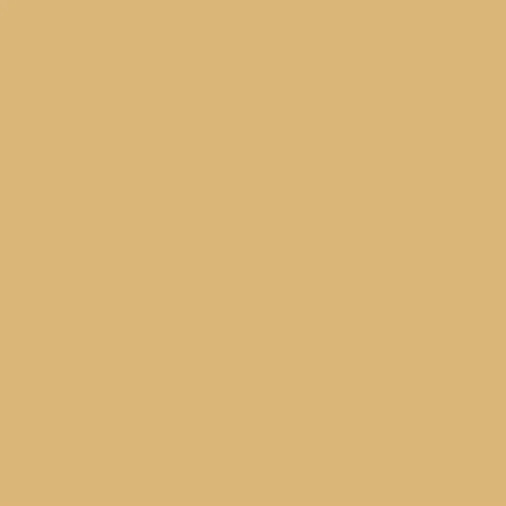 Beige PG659