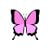 Butterfly 12 Pack