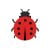Ladybird